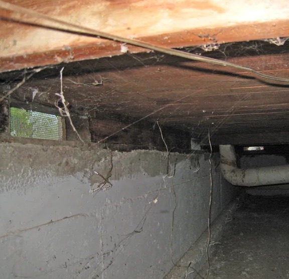 Crawl Space Water Extraction in Calvert, AL