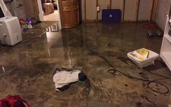 Same Day Water Removal in Axis, AL