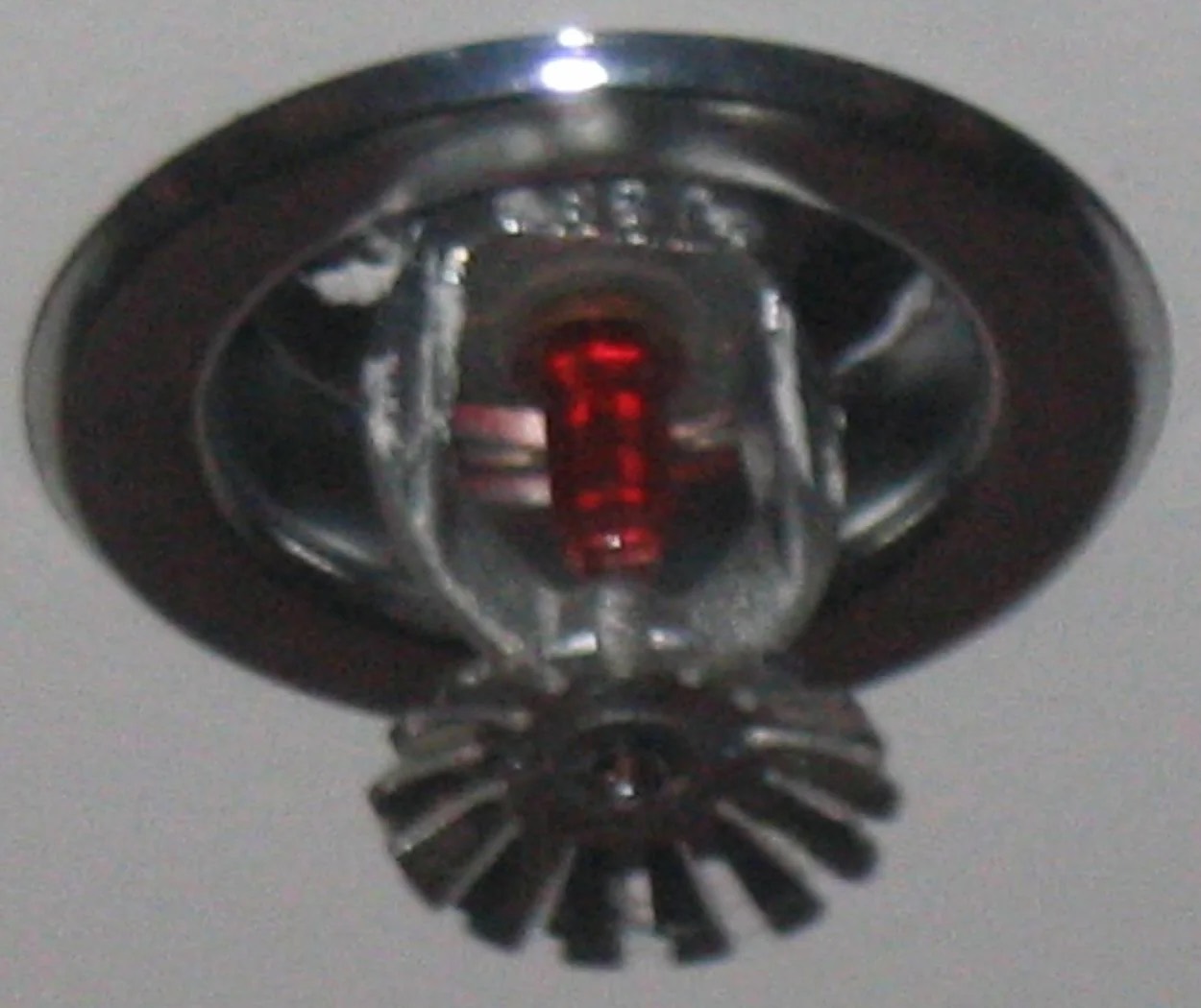 Fire Sprinkler Discharge Water Removal in Molino, FL