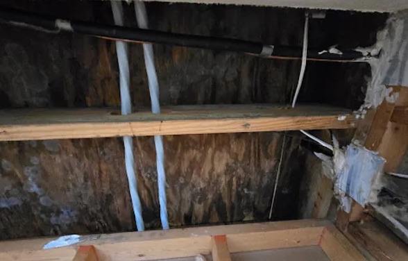Gutter Overflow Water Removal in Stapleton, AL