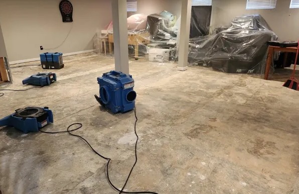 Dehumidification Services in Brewton, AL