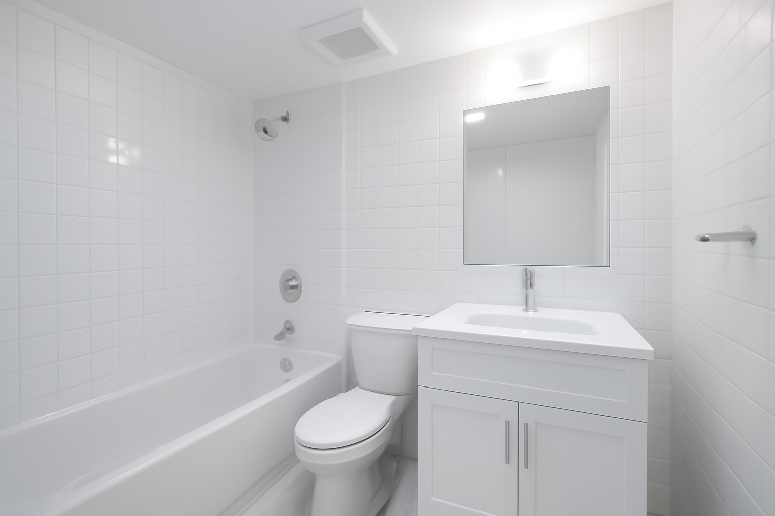 Mold remediation service